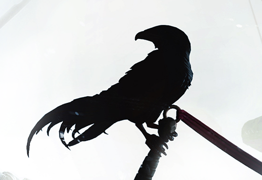 Crowfall